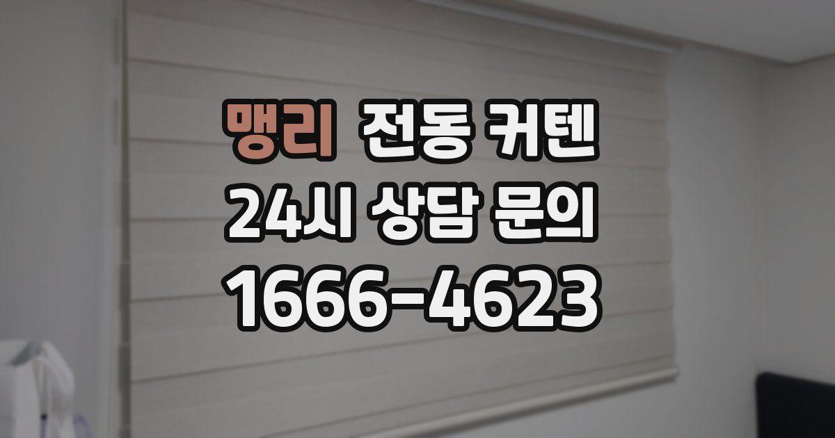 맹리 전동 커텐