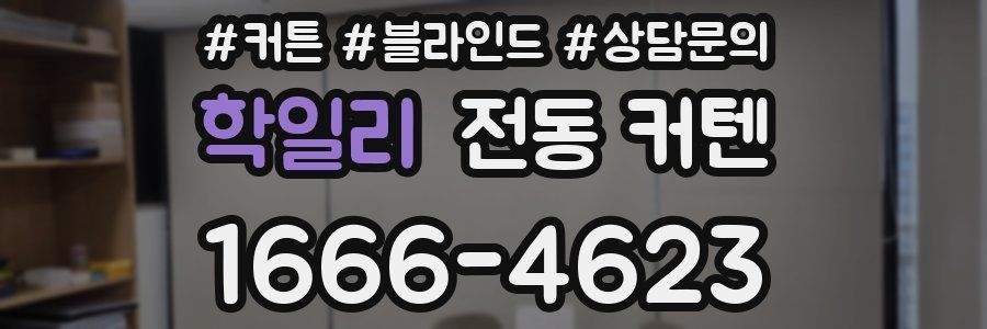 학일리 전동 커텐