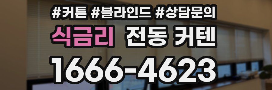 식금리 전동 커텐