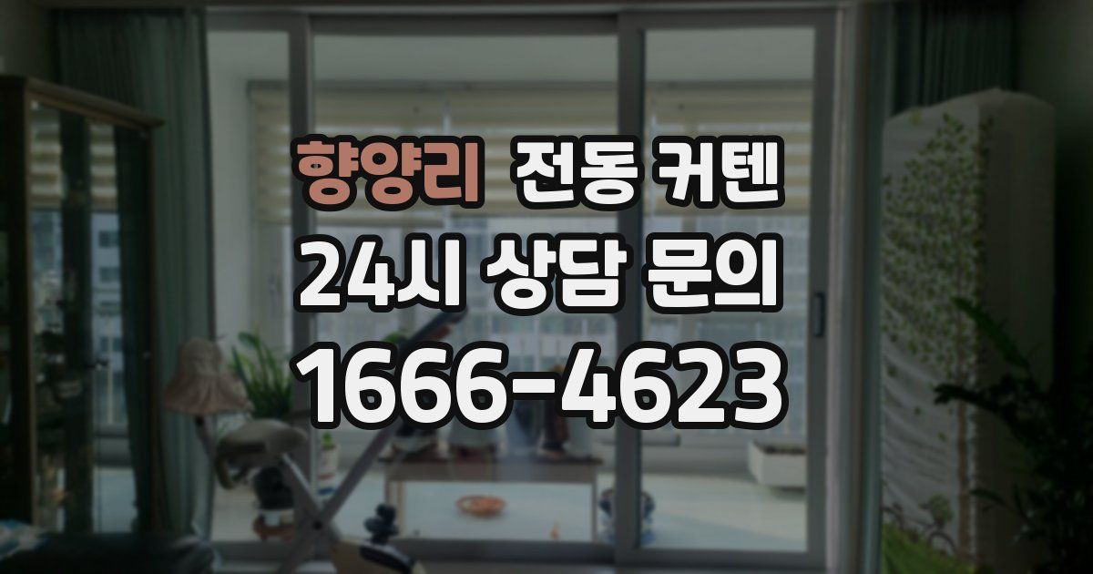 향양리 전동 커텐