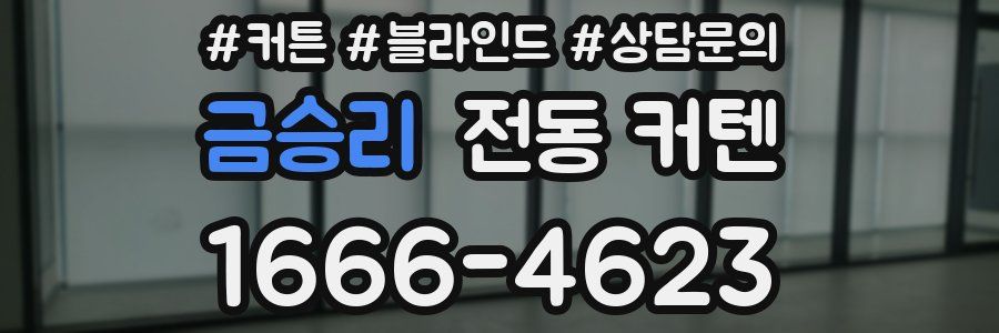 금승리 전동 커텐