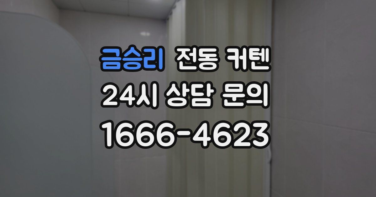 금승리 전동 커텐