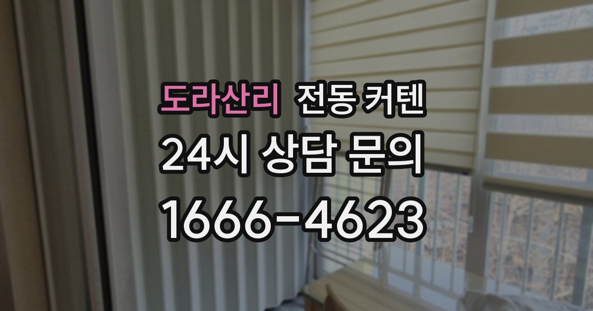 도라산리 전동 커텐
