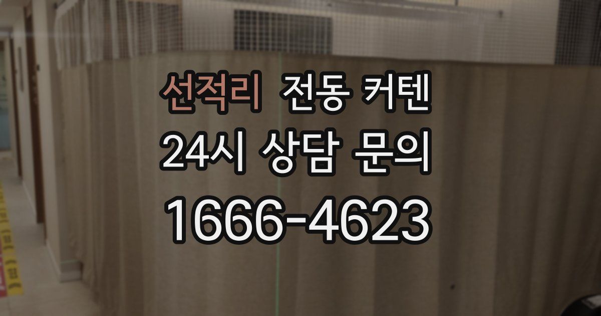 선적리 전동 커텐