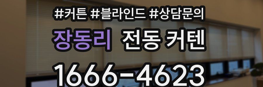 장동리 전동 커텐