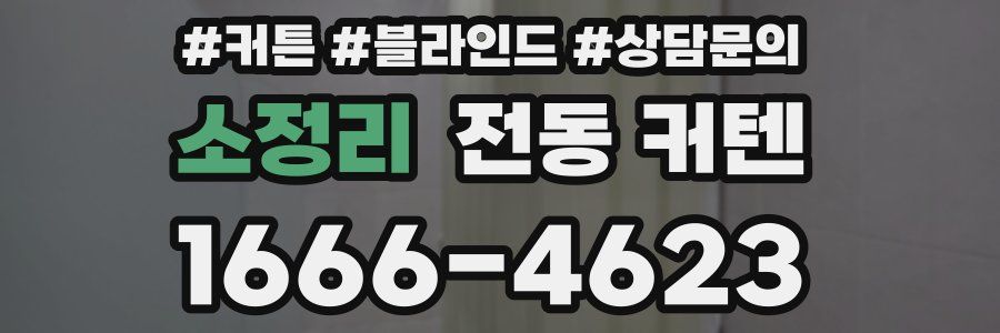 소정리 전동 커텐