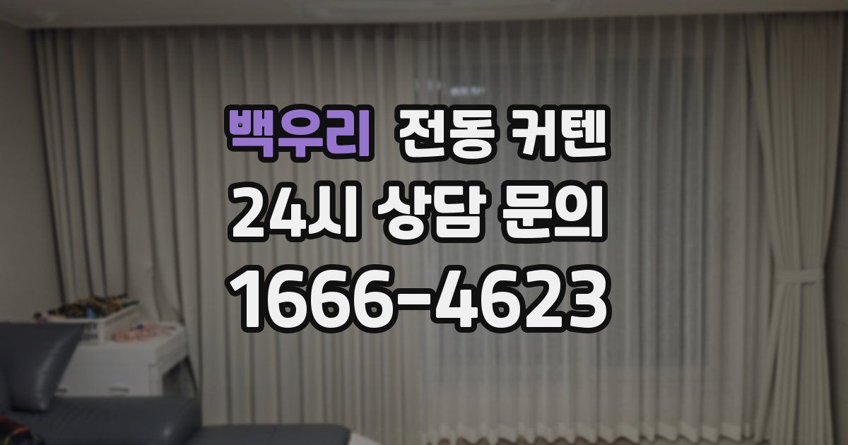 백우리 전동 커텐