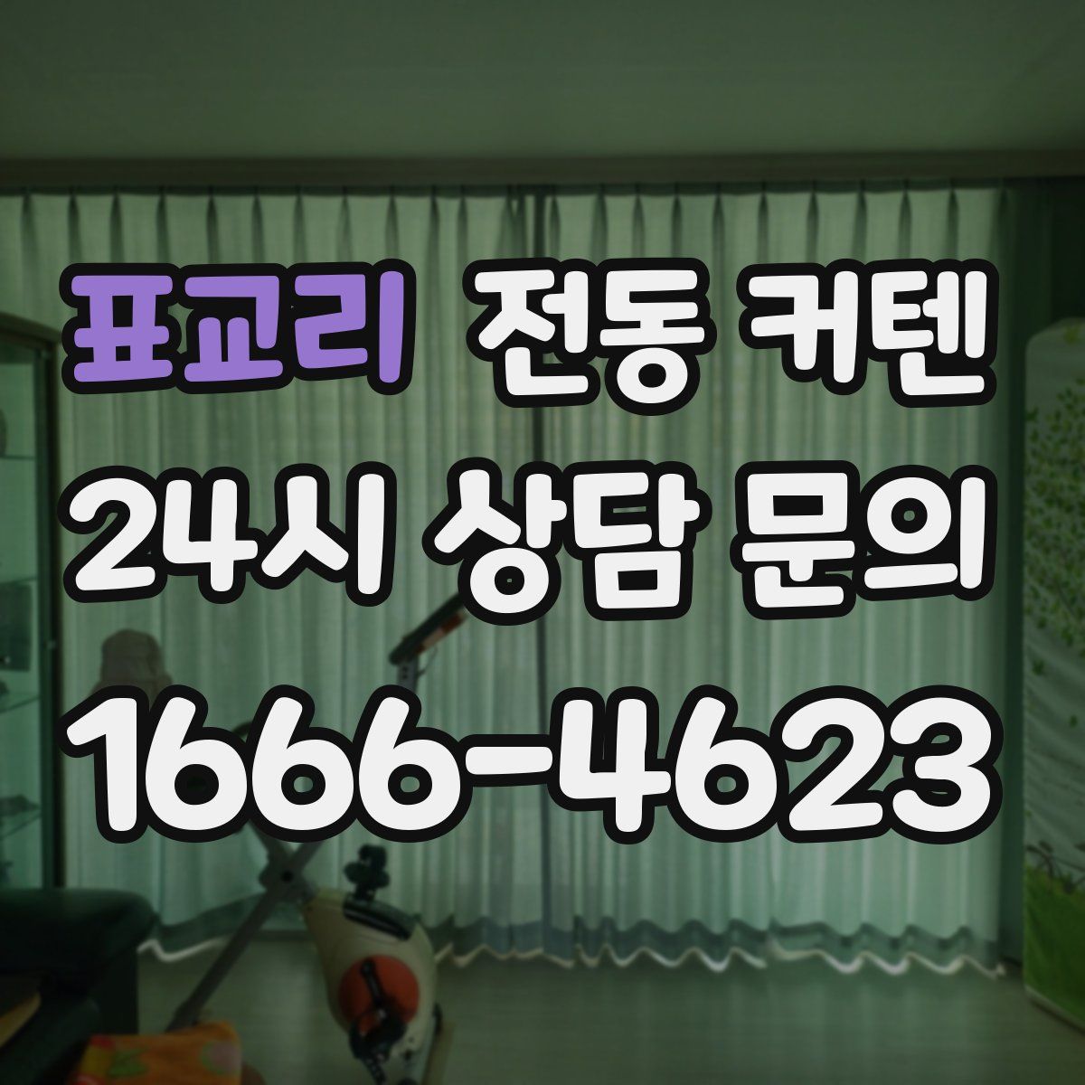 표교리 전동 커텐