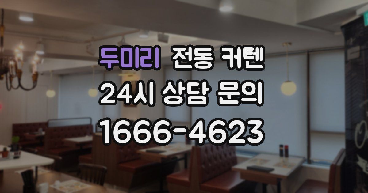 두미리 전동 커텐
