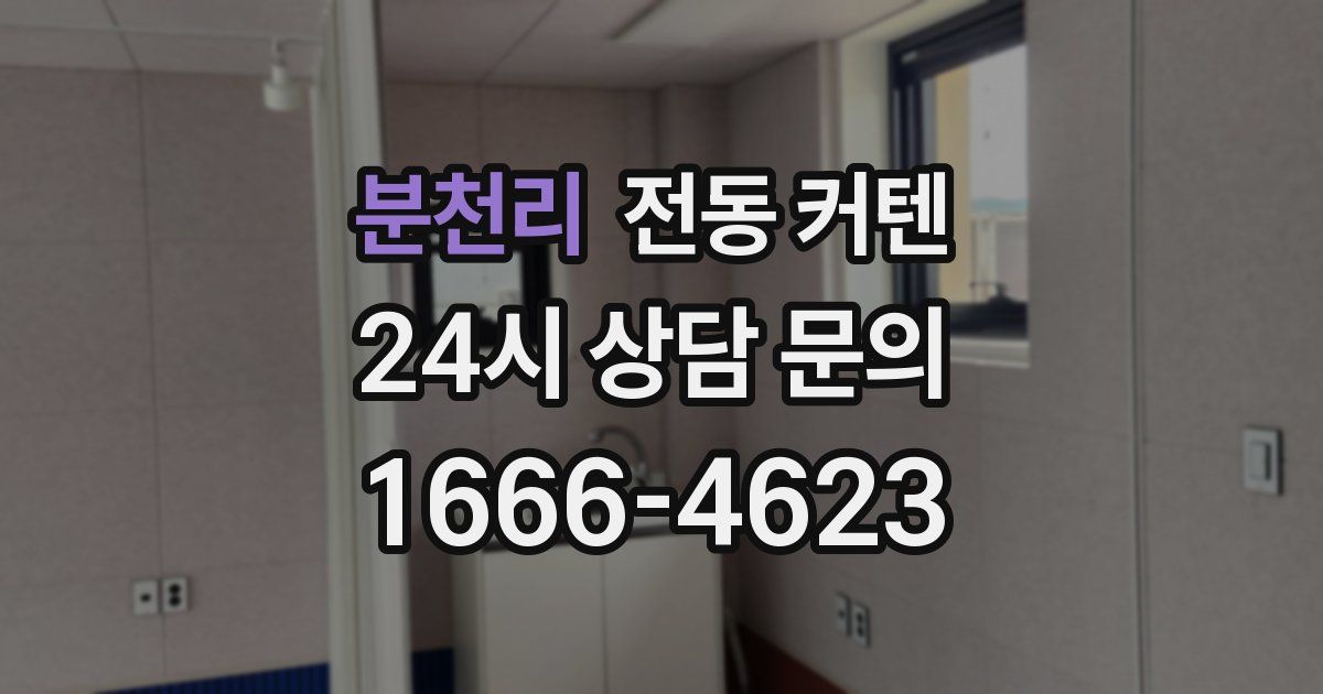 분천리 전동 커텐