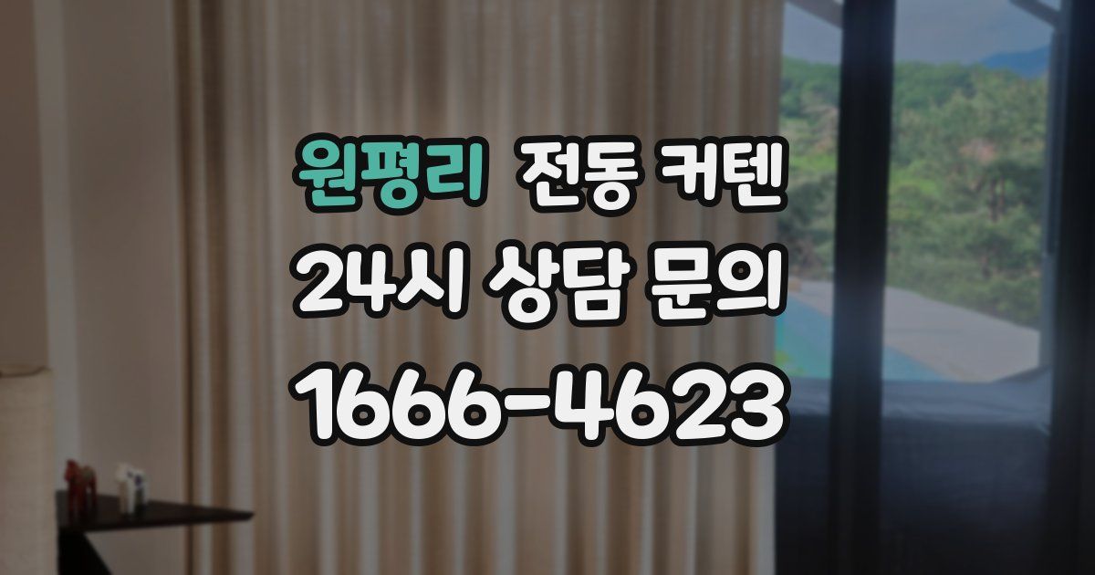 원평리 전동 커텐