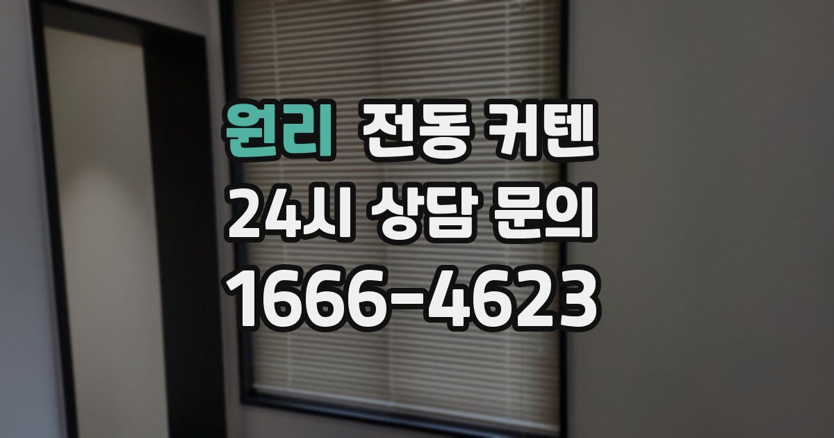 원리 전동 커텐
