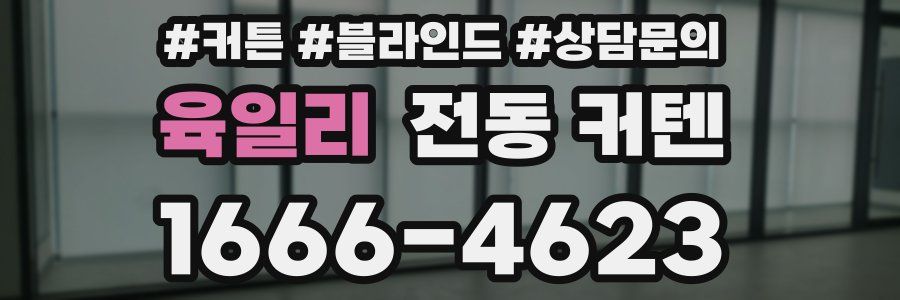 육일리 전동 커텐