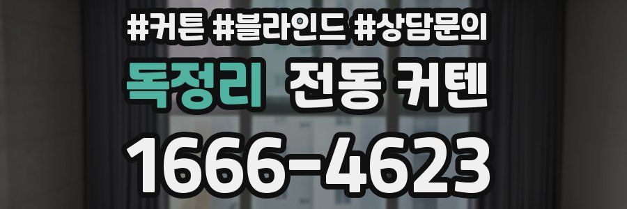 독정리 전동 커텐