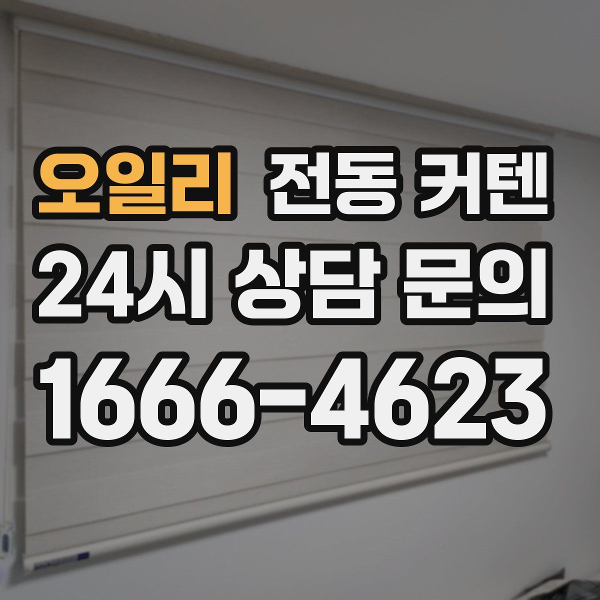 오일리 전동 커텐