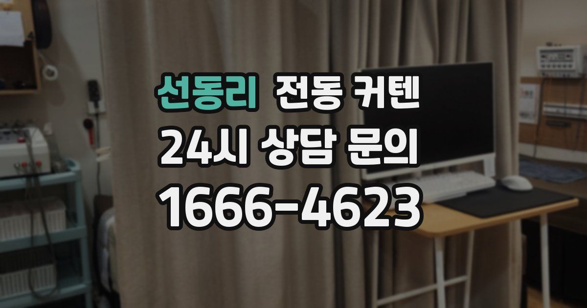 선동리 전동 커텐