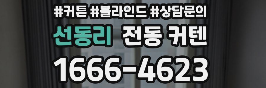 선동리 전동 커텐