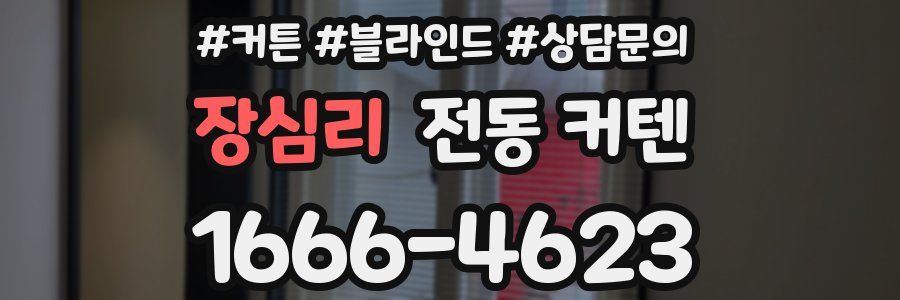 장심리 전동 커텐