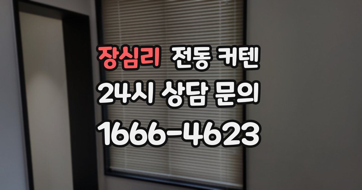 장심리 전동 커텐
