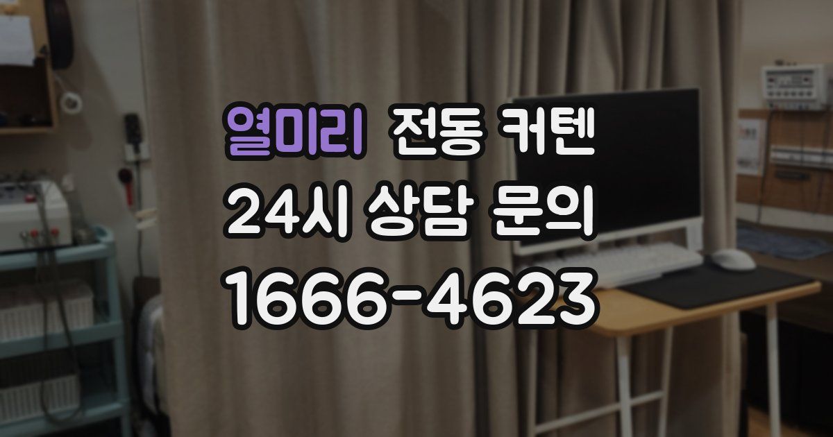 열미리 전동 커텐