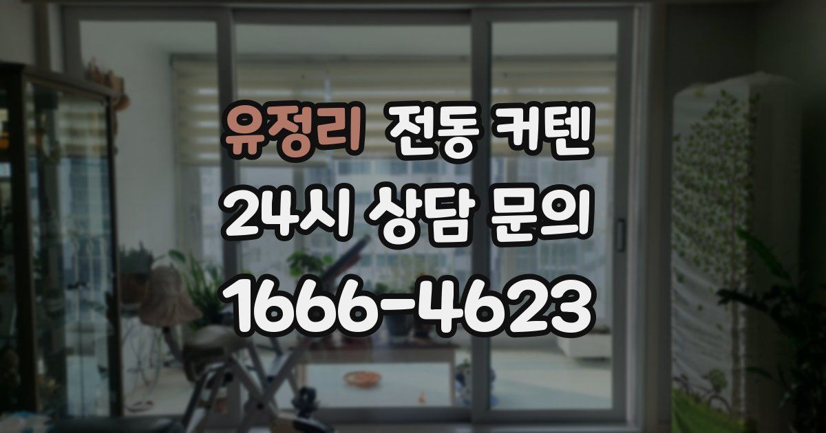 유정리 전동 커텐