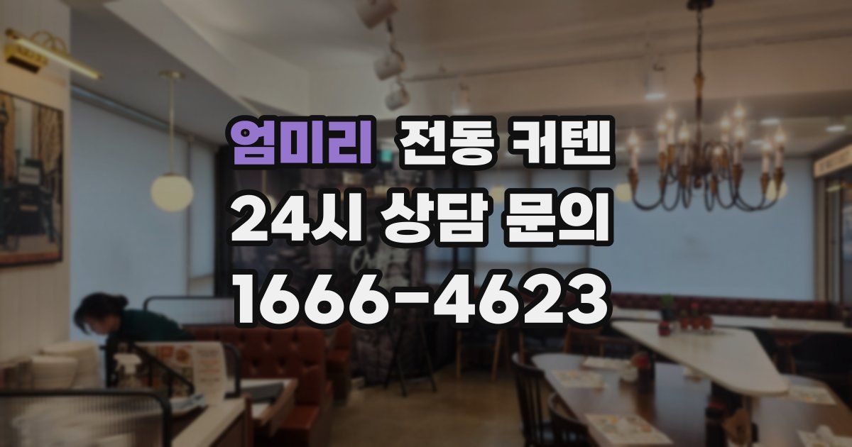 엄미리 전동 커텐