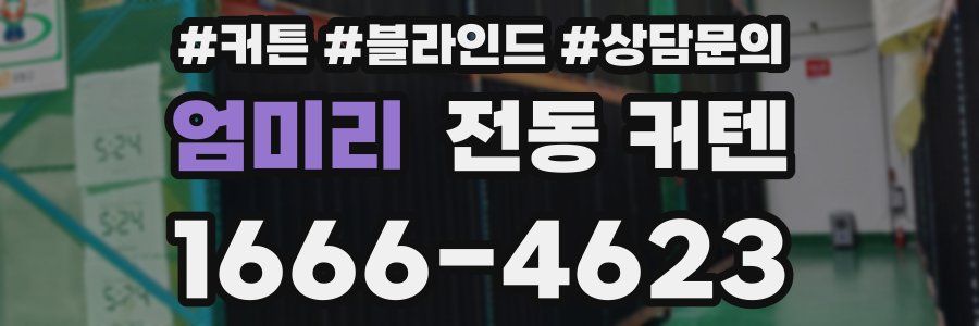 엄미리 전동 커텐