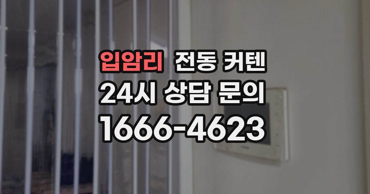 입암리 전동 커텐