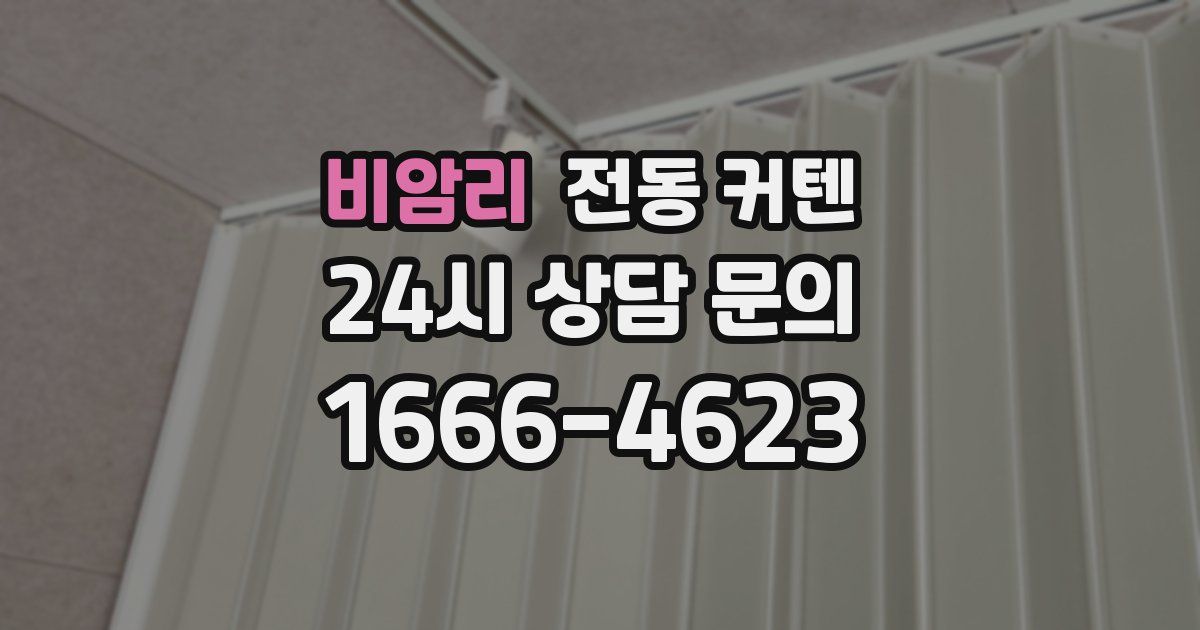 비암리 전동 커텐