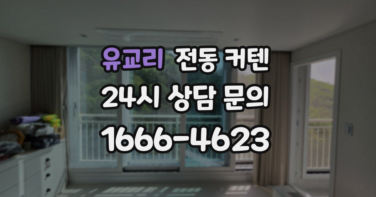 유교리 전동 커텐