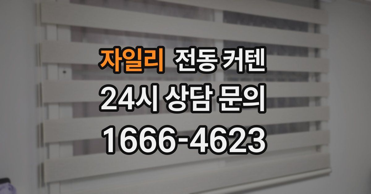 자일리 전동 커텐