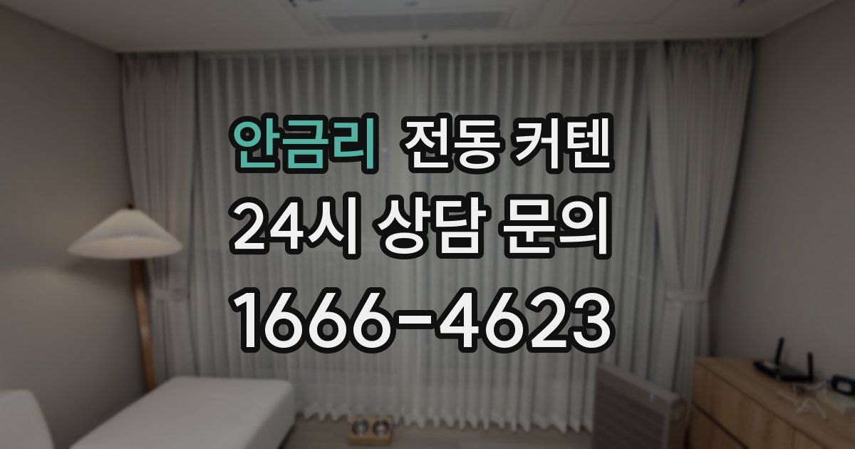 안금리 전동 커텐