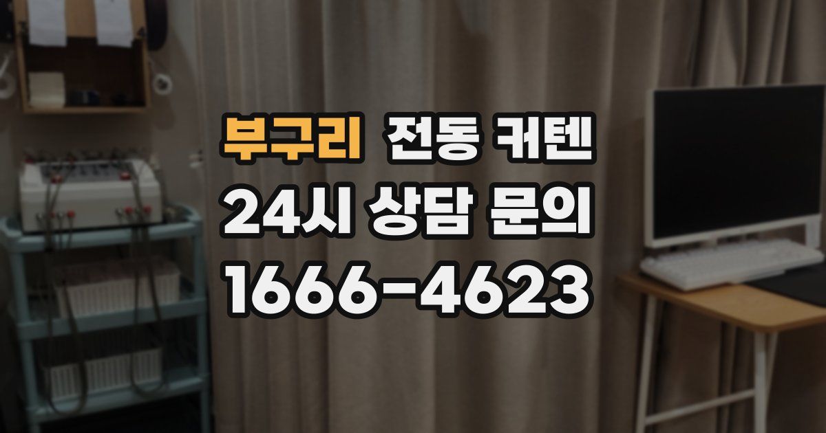 부구리 전동 커텐