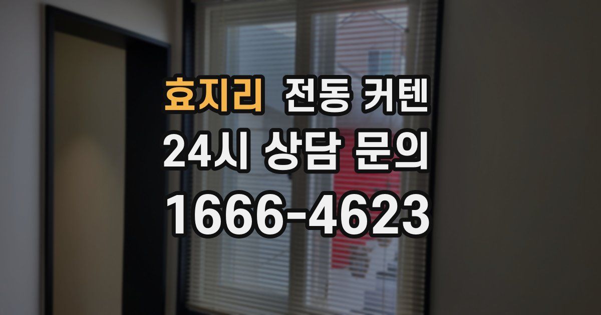 효지리 전동 커텐