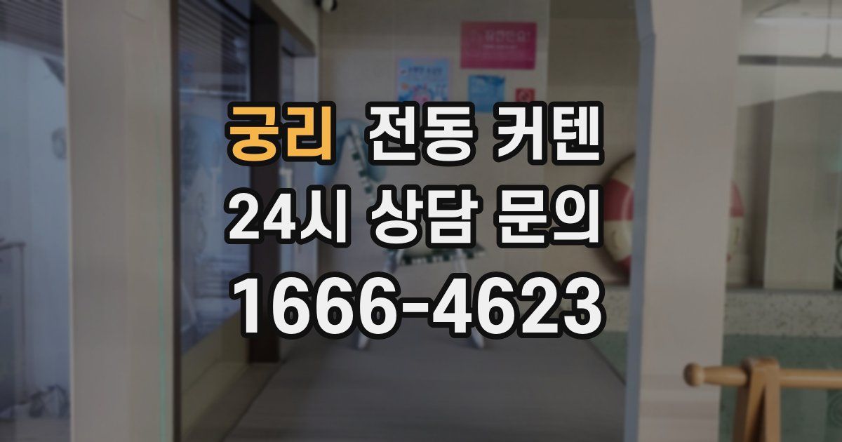 궁리 전동 커텐