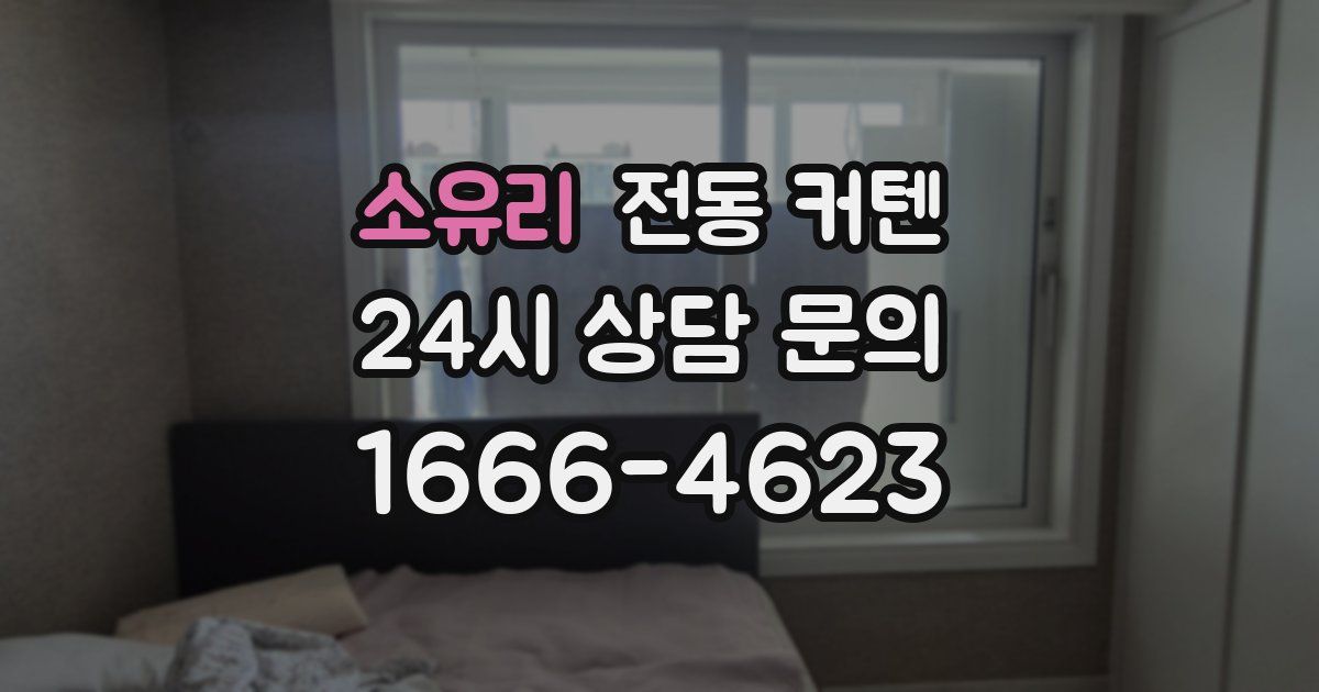 소유리 전동 커텐