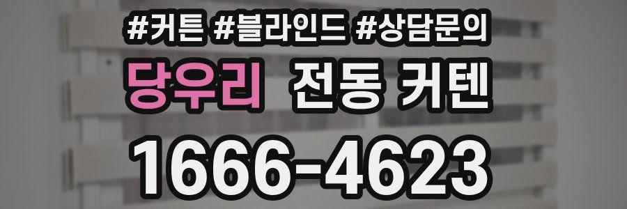 당우리 전동 커텐