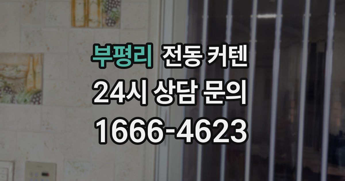 부평리 전동 커텐