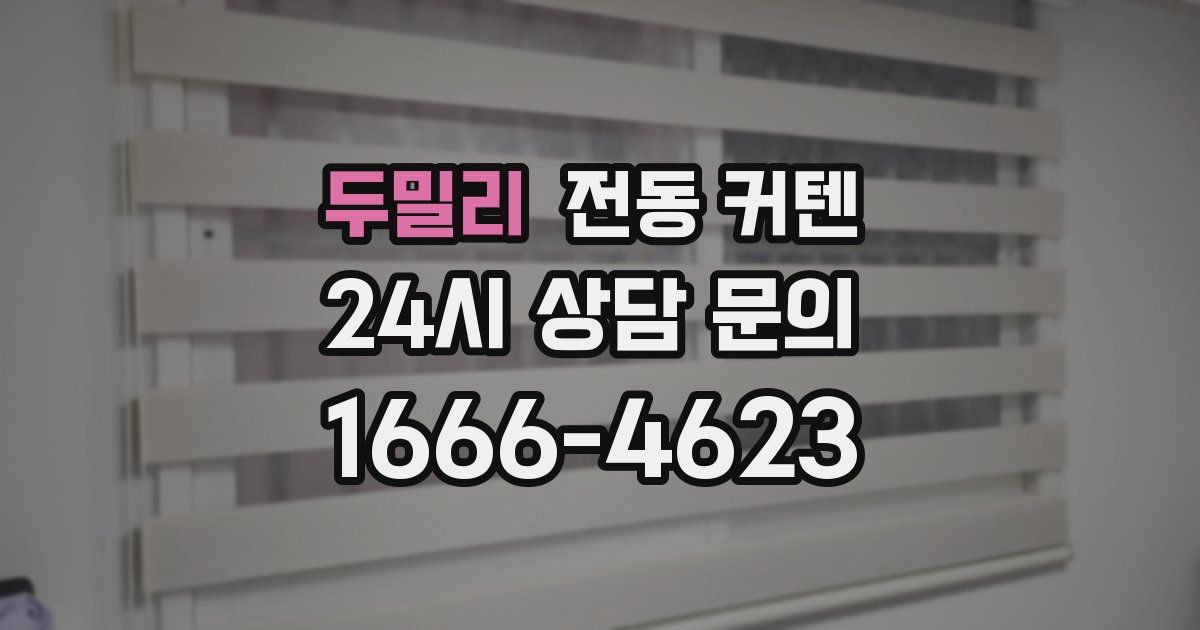 두밀리 전동 커텐