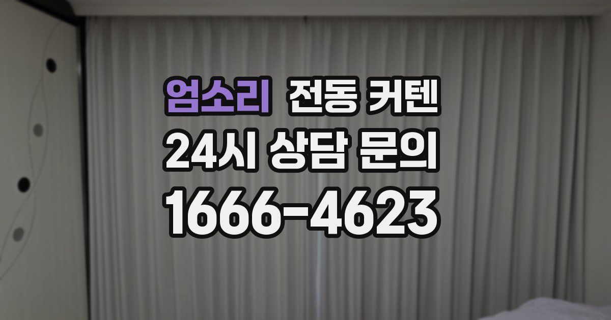 엄소리 전동 커텐