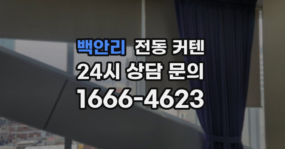 백안리 전동 커텐