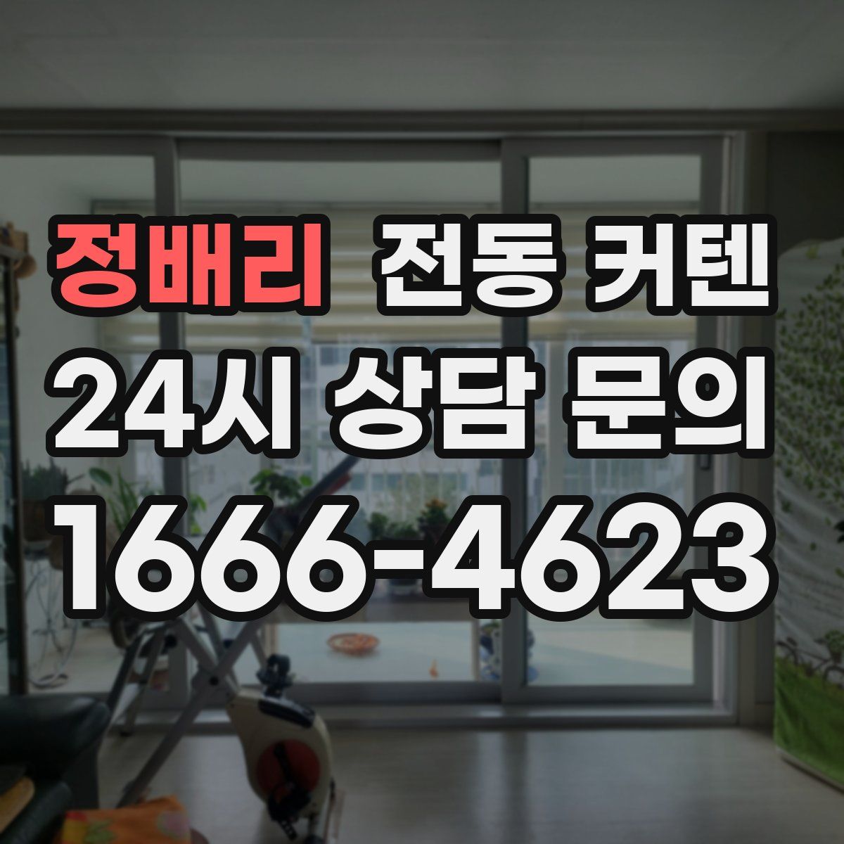 정배리 전동 커텐