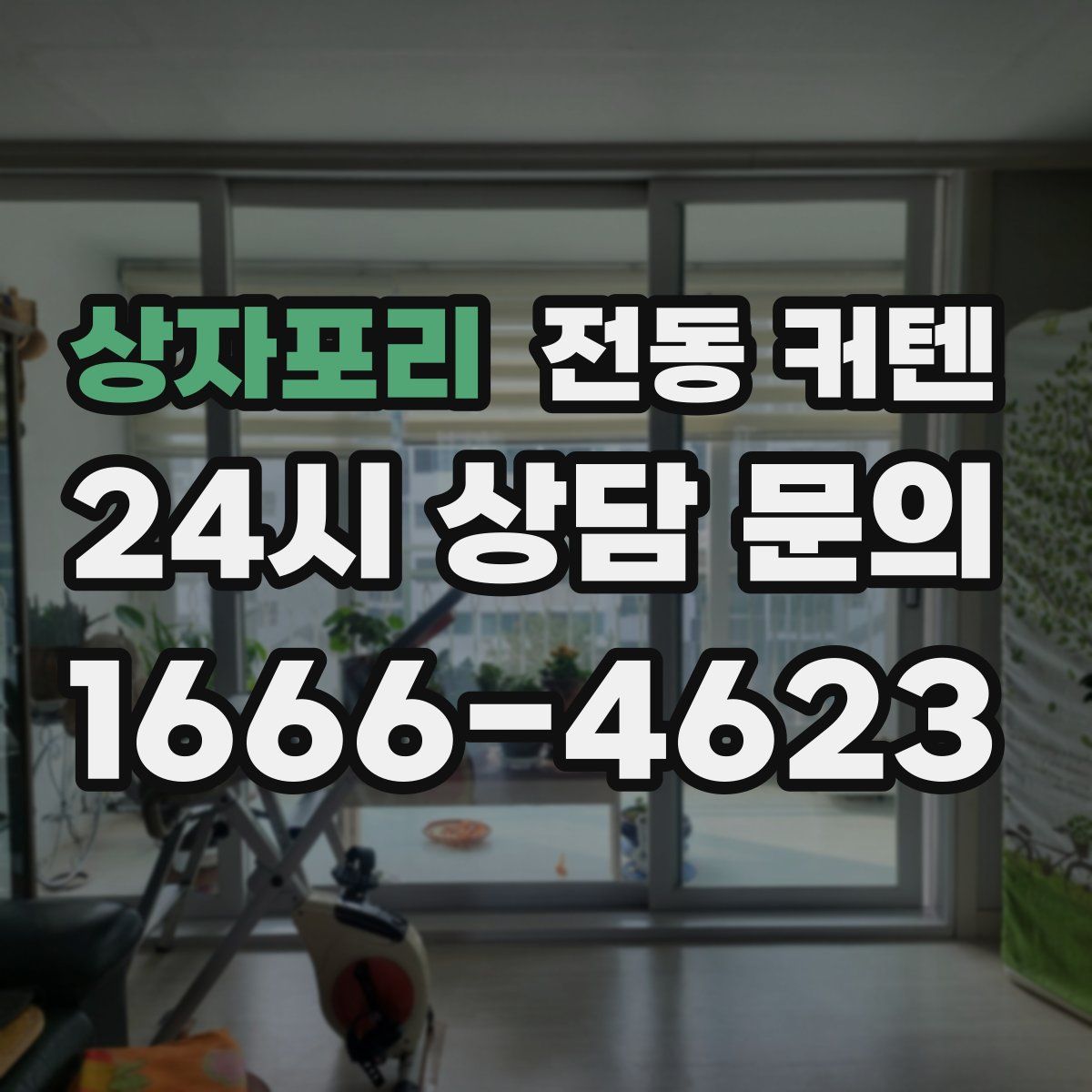 상자포리 전동 커텐