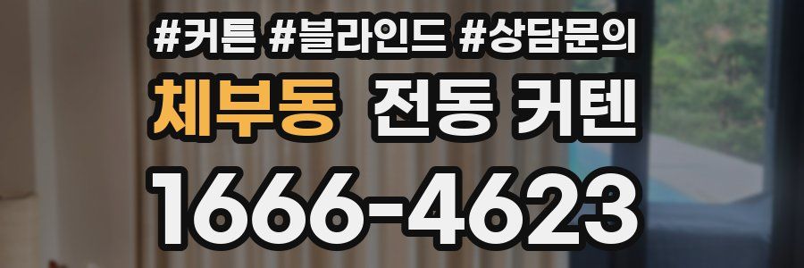 체부동 전동 커텐