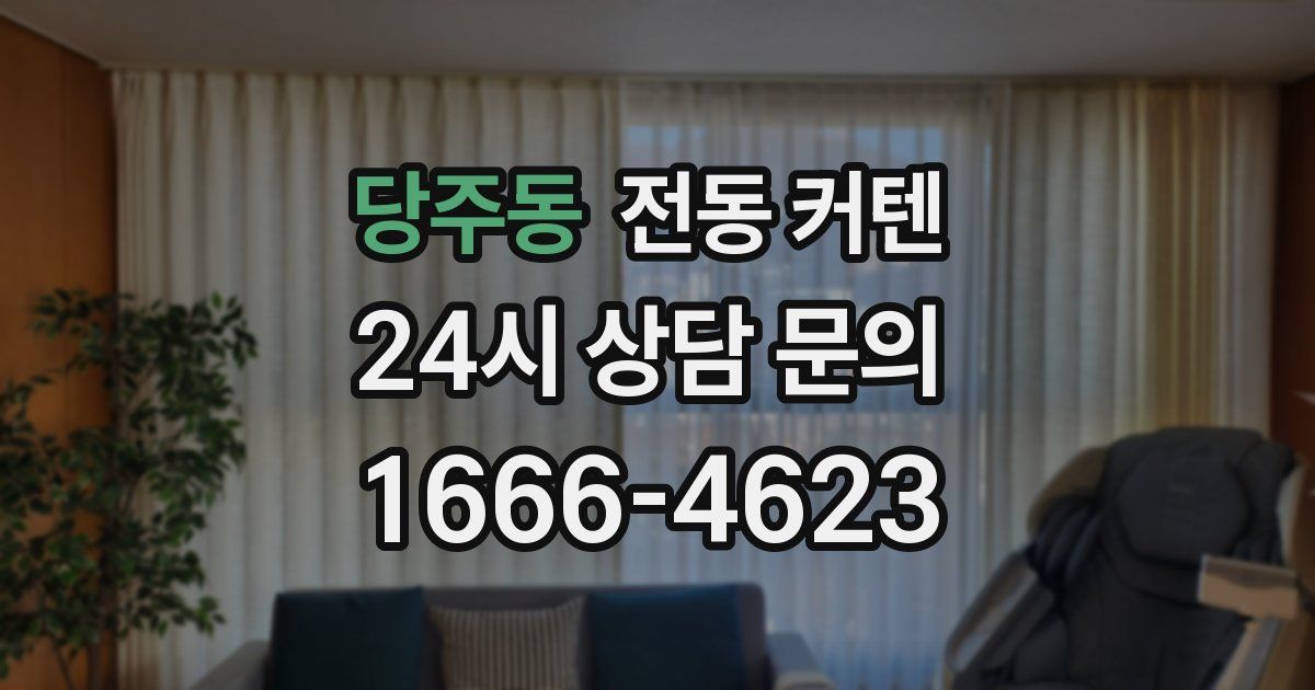 당주동 전동 커텐