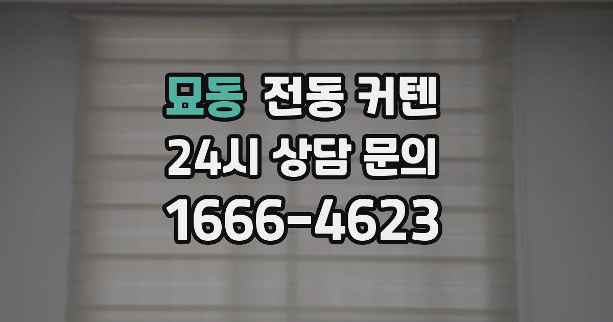 묘동 전동 커텐