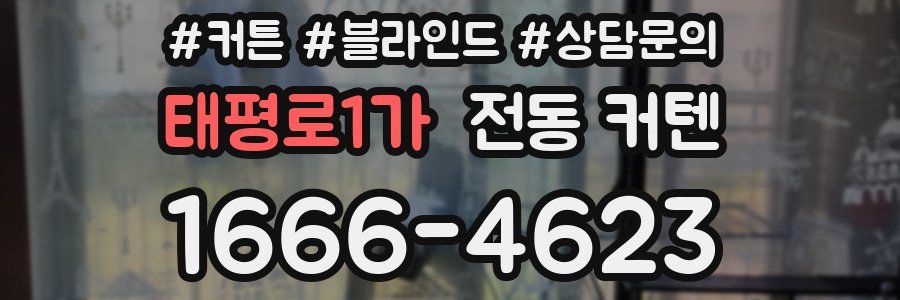 태평로1가 전동 커텐