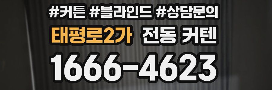 태평로2가 전동 커텐