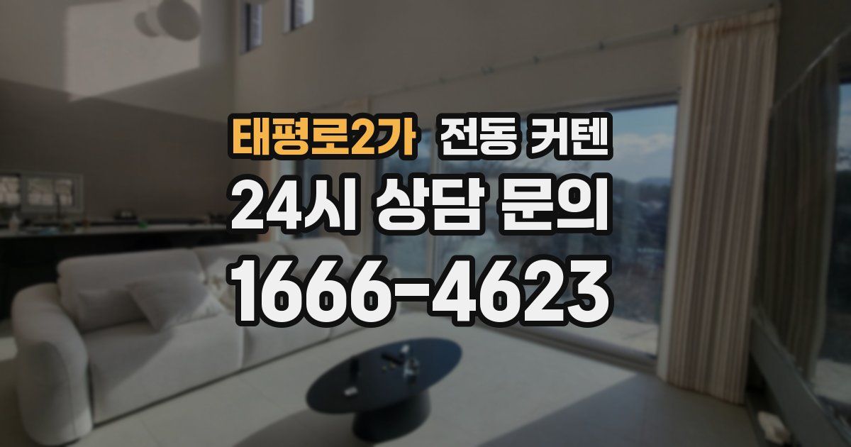 태평로2가 전동 커텐