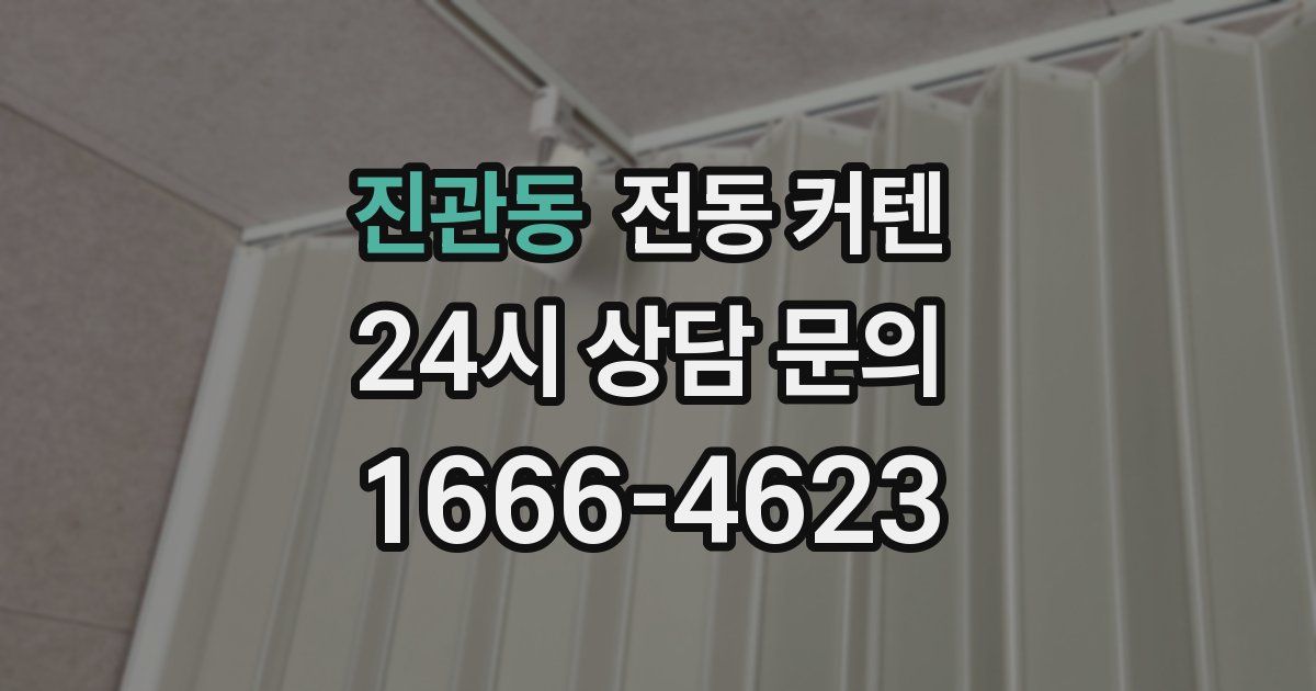 진관동 전동 커텐